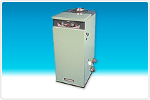 Natural & Propane Gas Heaters