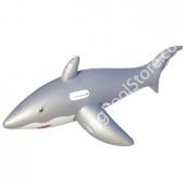 73" Ride On Shark
